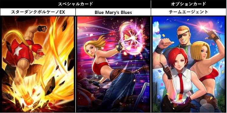 オプションカード