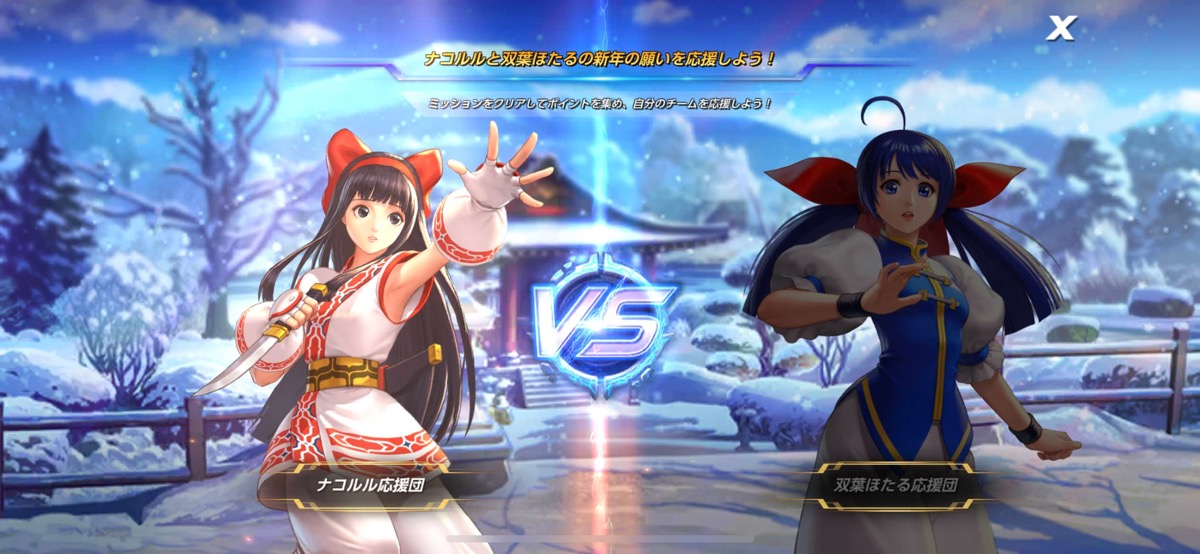 ナコルルチーム