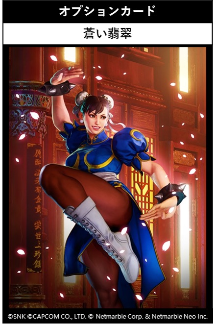 オプションカード