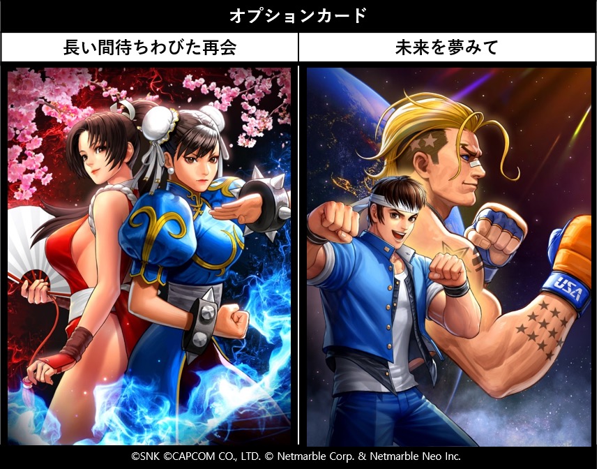 オプションカード