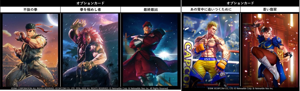 オプションカード