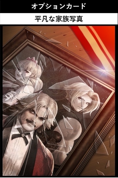 オプションカード