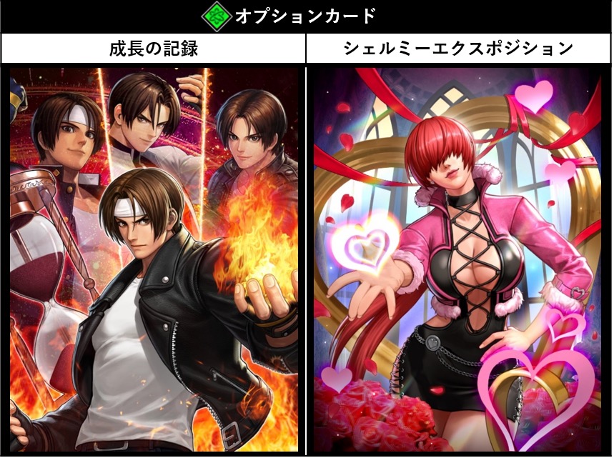 オプションカード