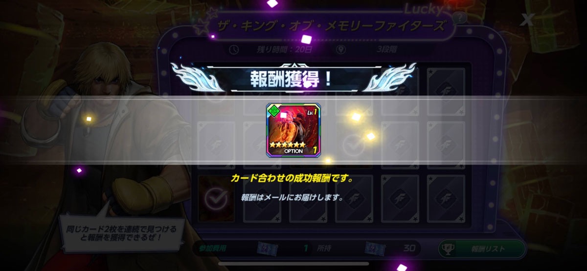 オプションカード